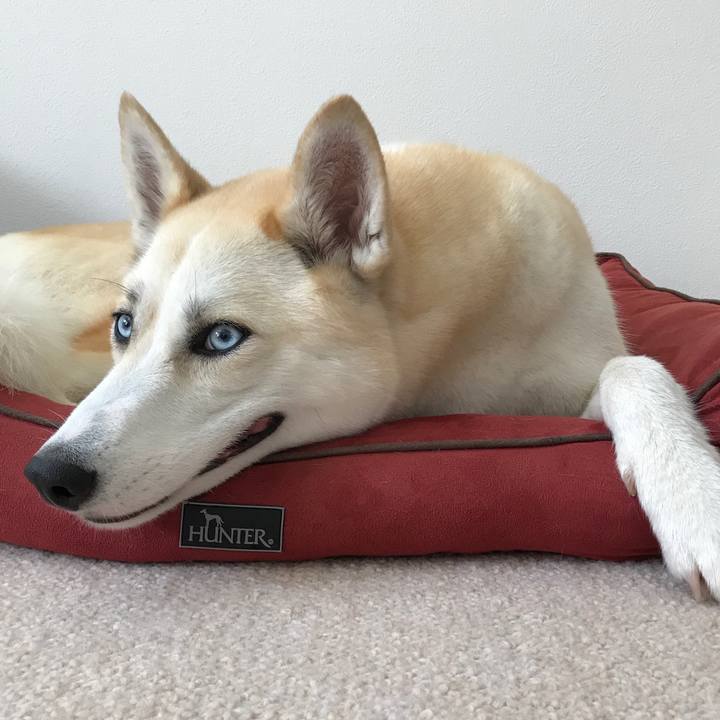 5528f285 d79b 4f41 a17c f9f002c0a09b