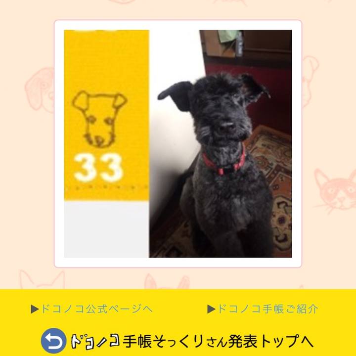 5529b2ea d3d9 424a 8074 d736df813946