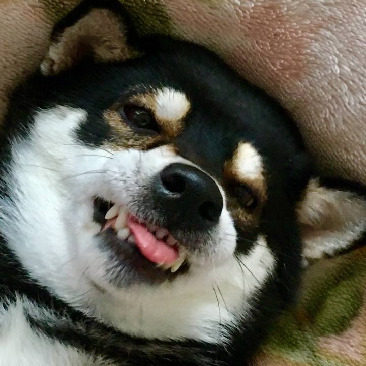 5529cec0 9ff4 4249 9312 fa2baacb881e