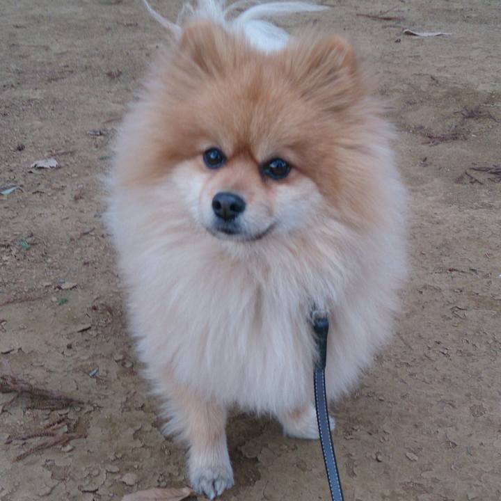 552a4280 69ae 417e 852b 464e7bb7031b