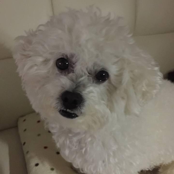 552b2128 0d84 4f52 96c8 715f03f8d29f