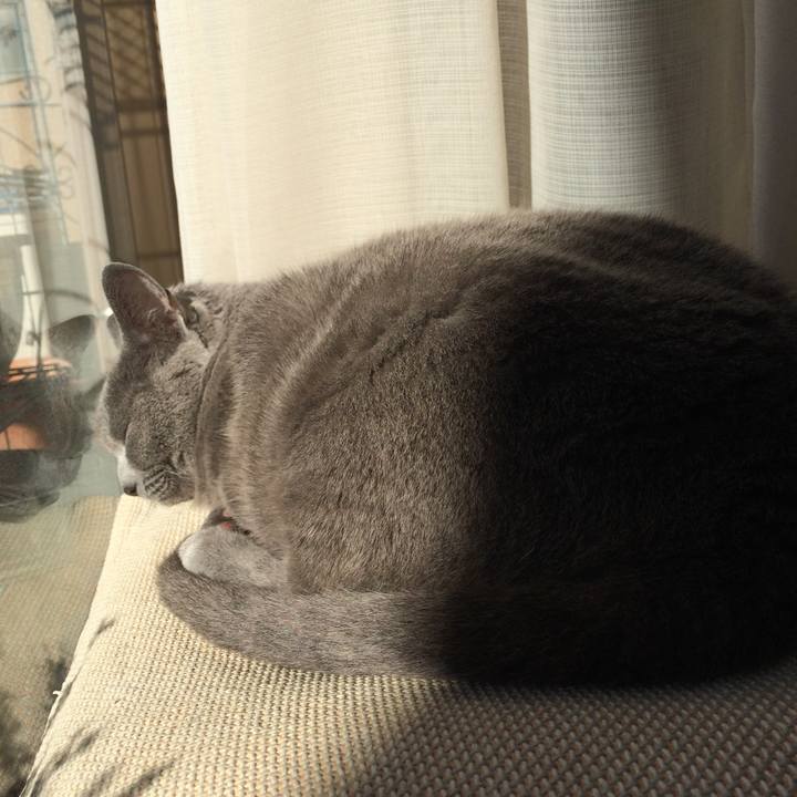 552b434f e6f4 4c5f 9e5e c56d1b1a842a