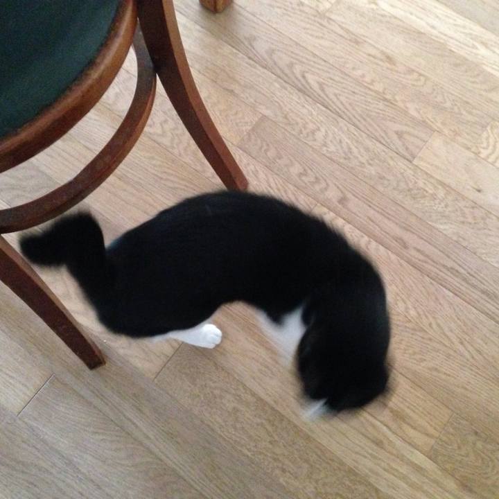 552bbf1c f458 4dcc 9fb9 016866299f37