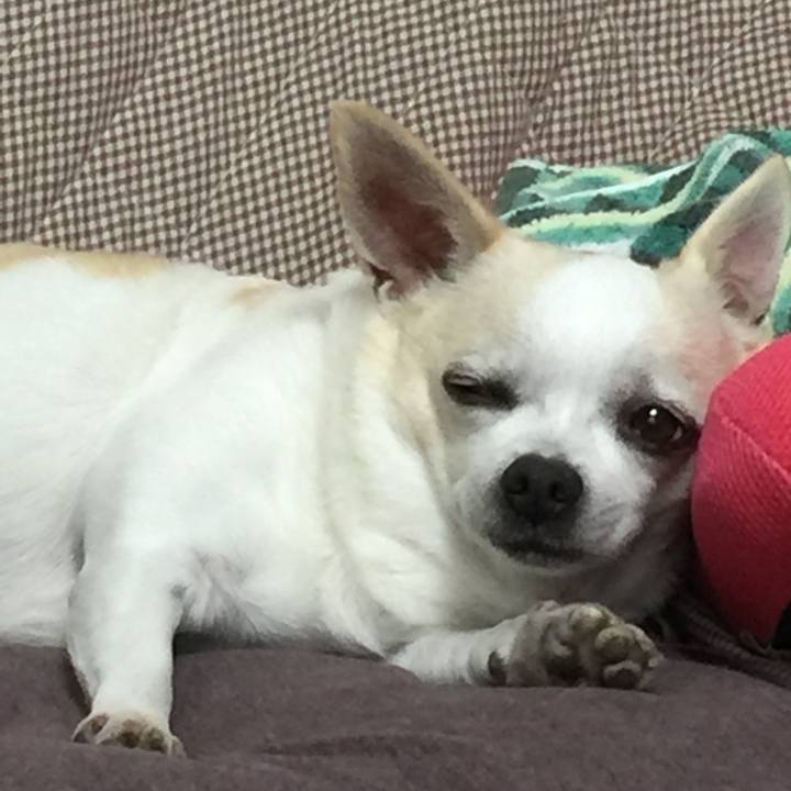 552c173f 63cc 4b50 a465 eb9ea64b3fca