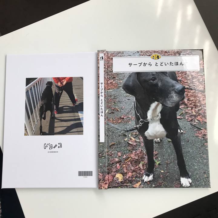 552c62b3 5012 408c a99d 46273771d868