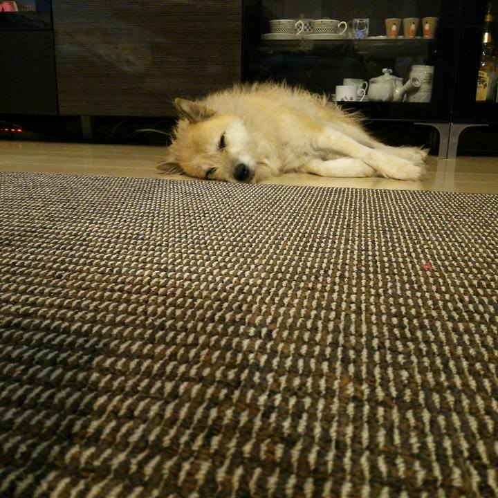 552cd64d c681 4165 858e e55559faf2fa