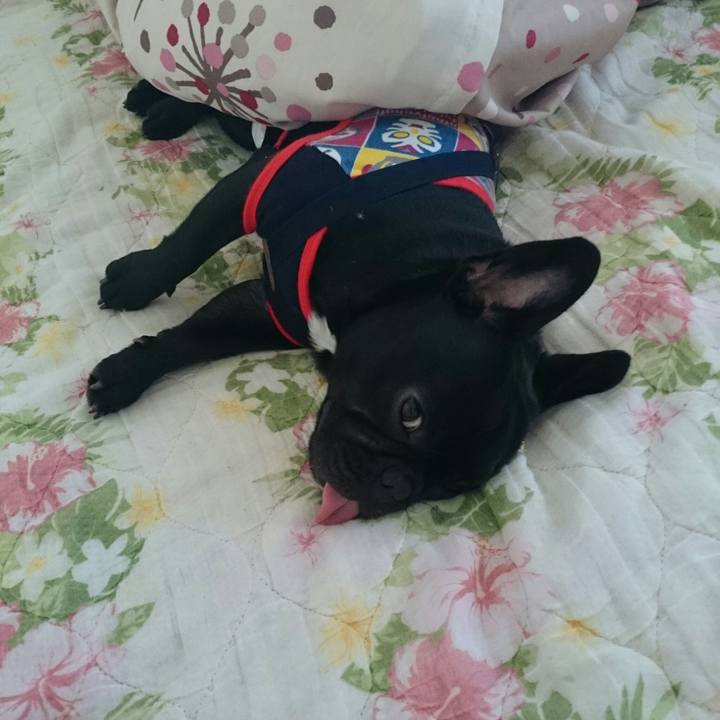 552da0dc 98e3 4a29 aa76 ed4d794b677d