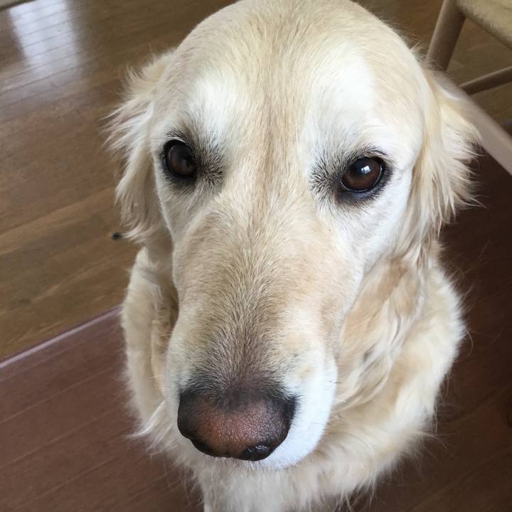 552dab86 7962 4065 bd6d e2aab2fc6cee