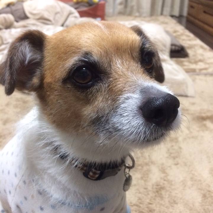 552f2a23 0f15 4d14 949d 229a1b7161d7