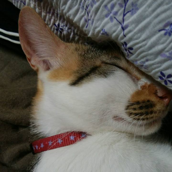 552f3bf0 63d0 41a4 8076 5d402ad17bb6