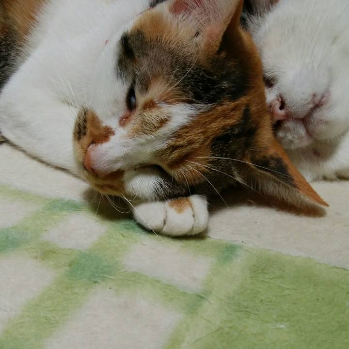 552fb453 b664 439b 8347 4d3f1cf62737