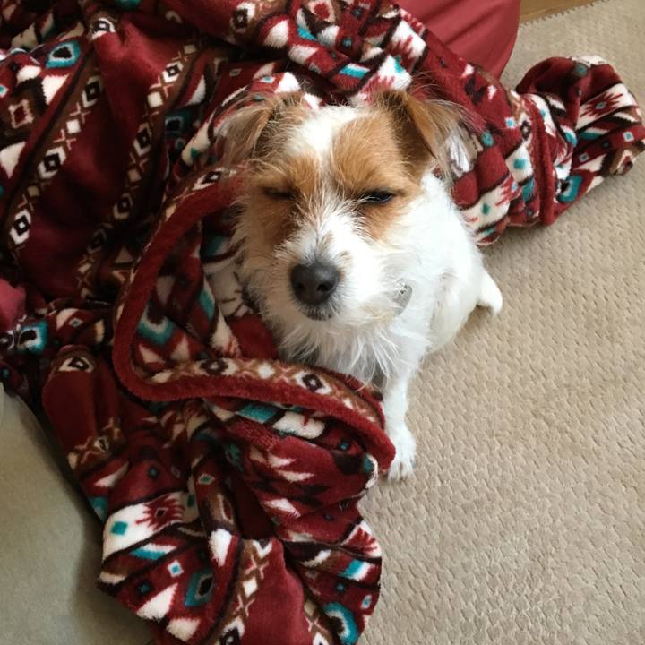 55302b05 c650 47ba 90c2 483031d62849