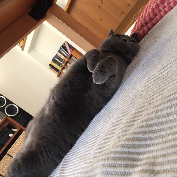 55309629 5c97 472f a82e 81cb6912aa77