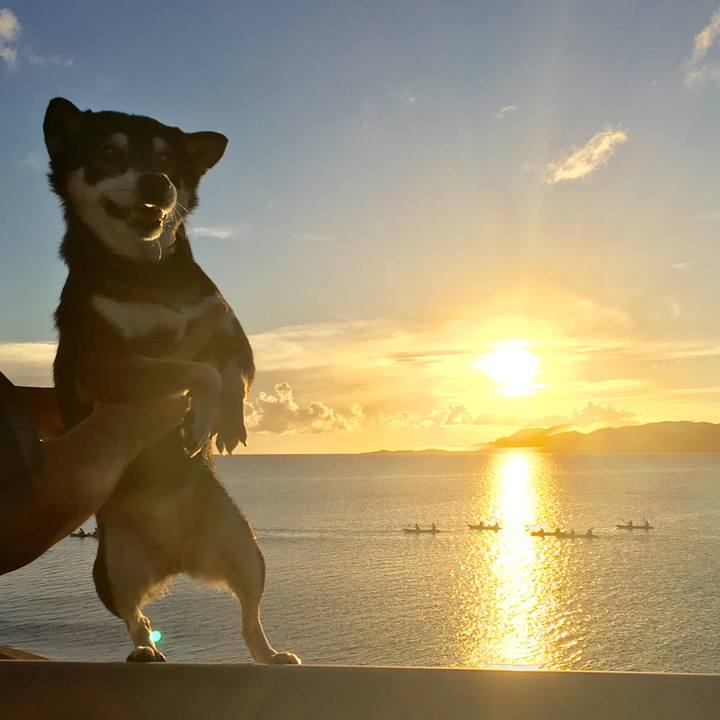 55309d10 bbac 426f 9df3 d9f49d971daa