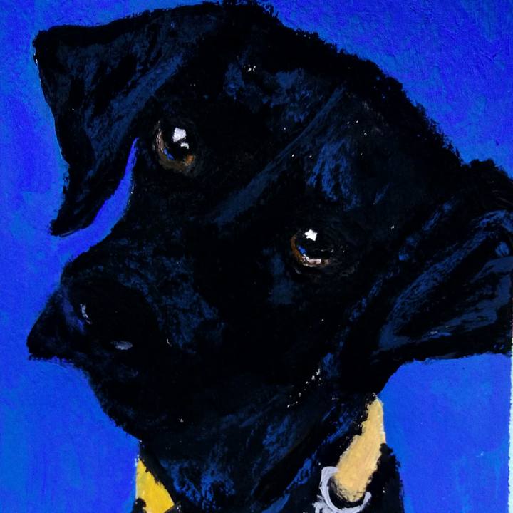 553195aa 50c9 4a52 adcb c8a4bfd6cd95