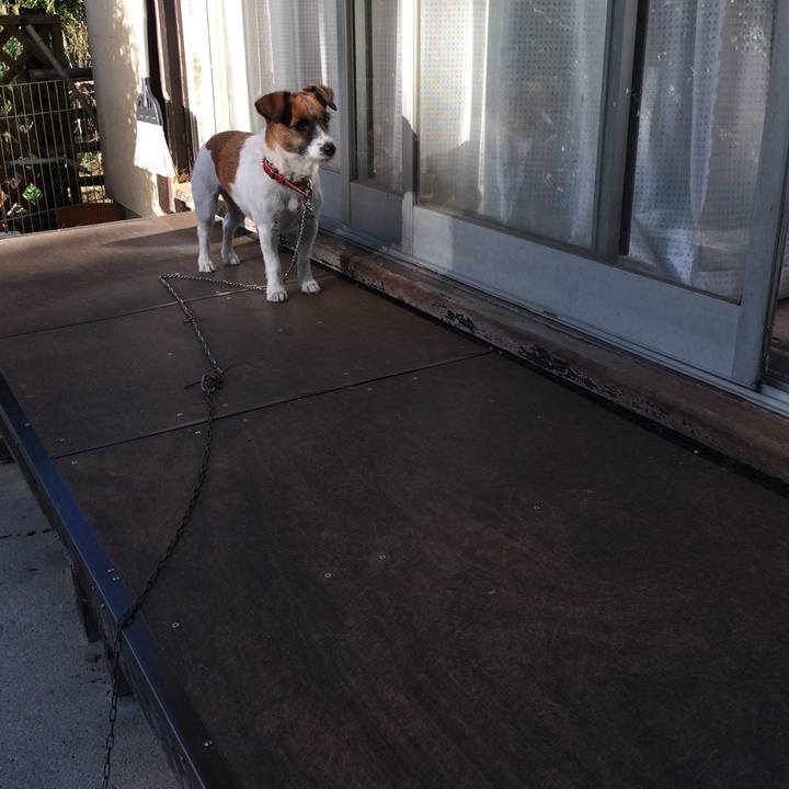 553199aa 9697 4959 97e3 fa67512f8e1c