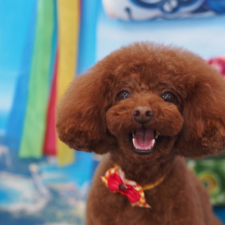 5532424a 5f85 439e 94eb c6eb7413cd72