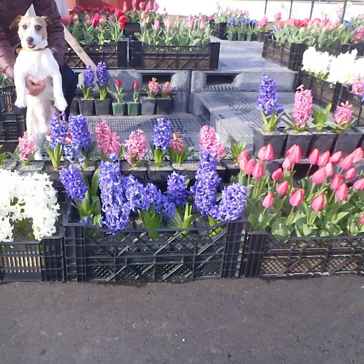 55326c20 6251 46ec 993f 6d52ea74be1e