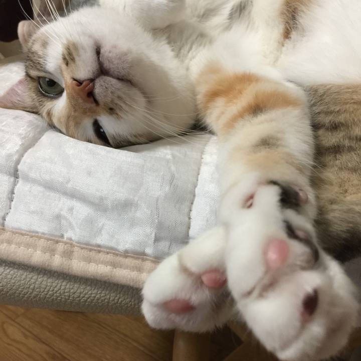 5532d3a0 1af5 4826 beef 5febaa0061f0