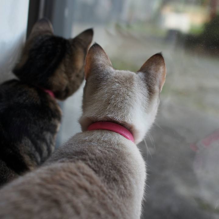 5533c4f2 1e67 496b aac3 8d83251e50d6