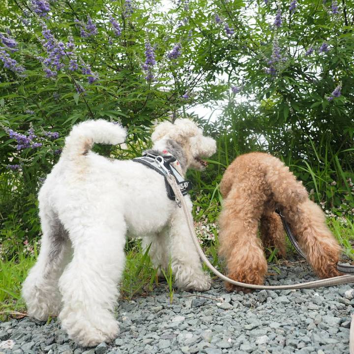 5533d848 4107 483e b600 5e234ffe1984