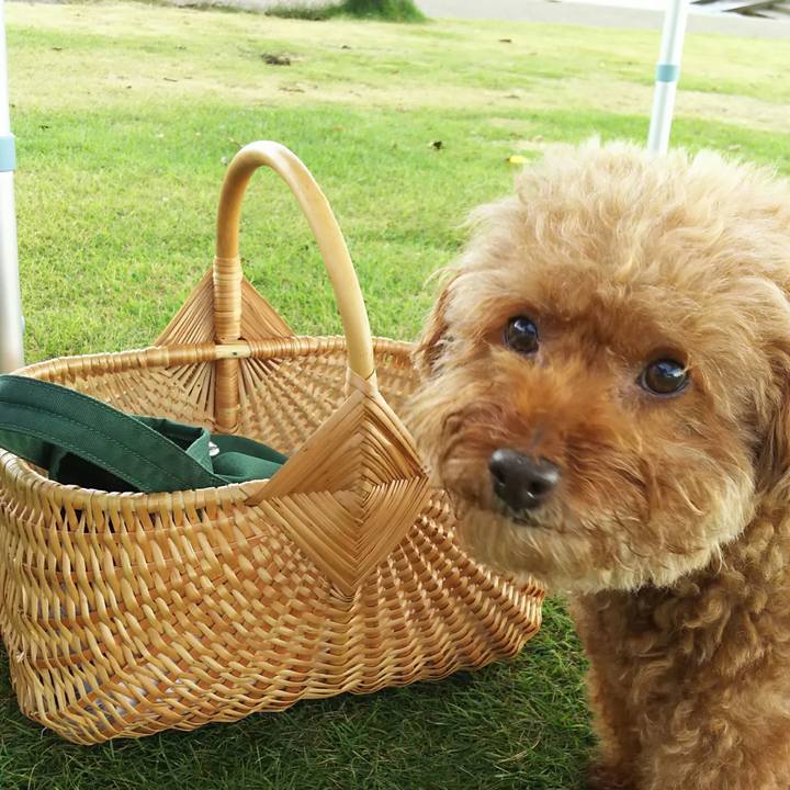 5533ec35 e376 45a9 a280 ae6af05da78a