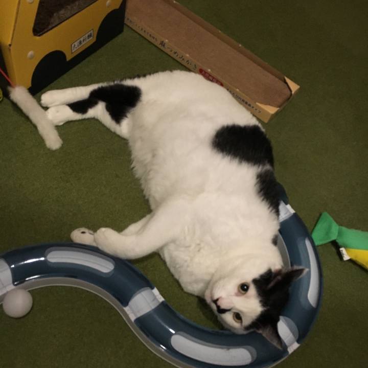 553434ff 1924 473f b563 e81d8c4d09f6