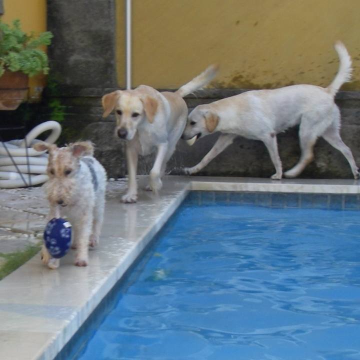 5534d3ba 40f4 4657 a488 0607cf288c57