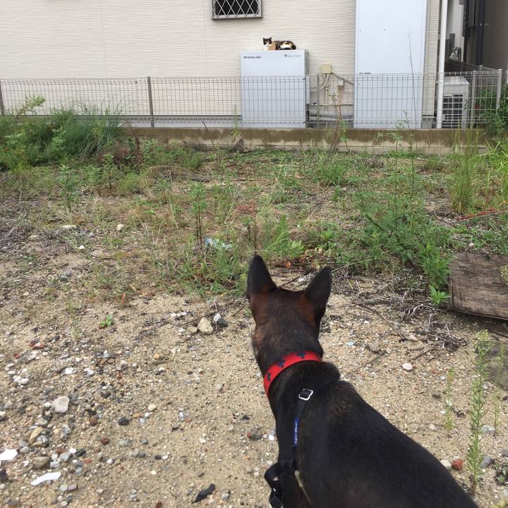 5535ac23 1aef 49a9 8a39 a6b44eb2a5a1