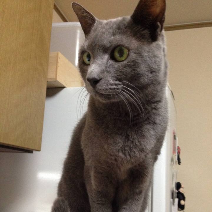 5536f2a2 6d26 4c1a 8316 73ecaff0281e