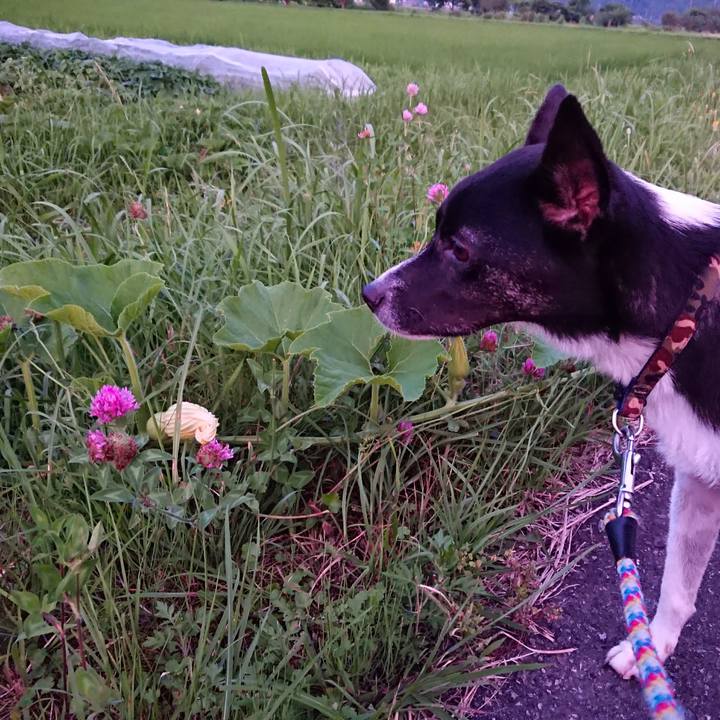 55373b49 c6d9 4d03 8a08 46686e9f3f91