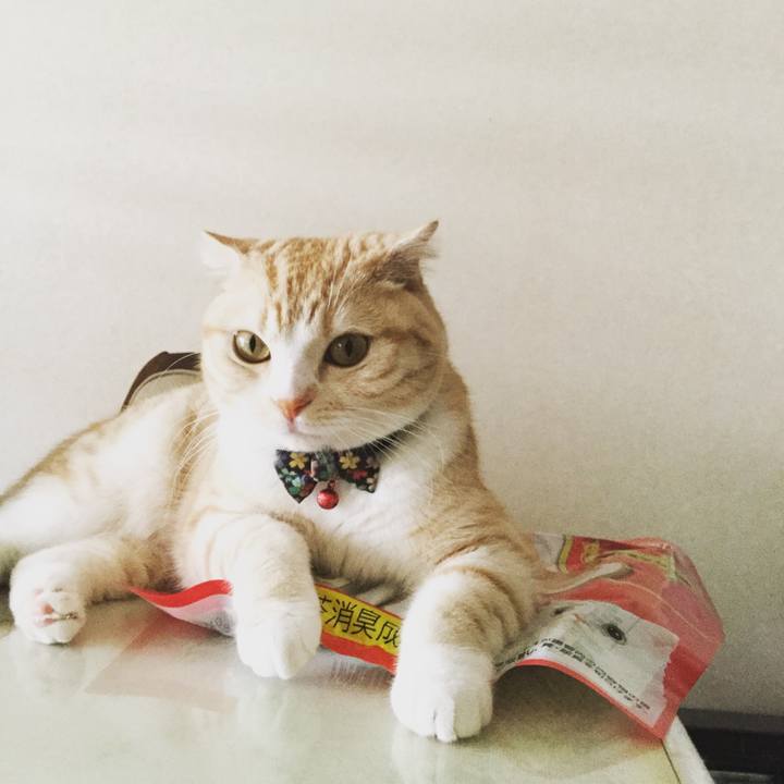 55378386 08b7 4912 9568 4b4322bf7079