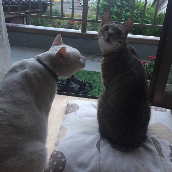 55384c6a a9ae 4c64 8ecc a99742e0e3fe