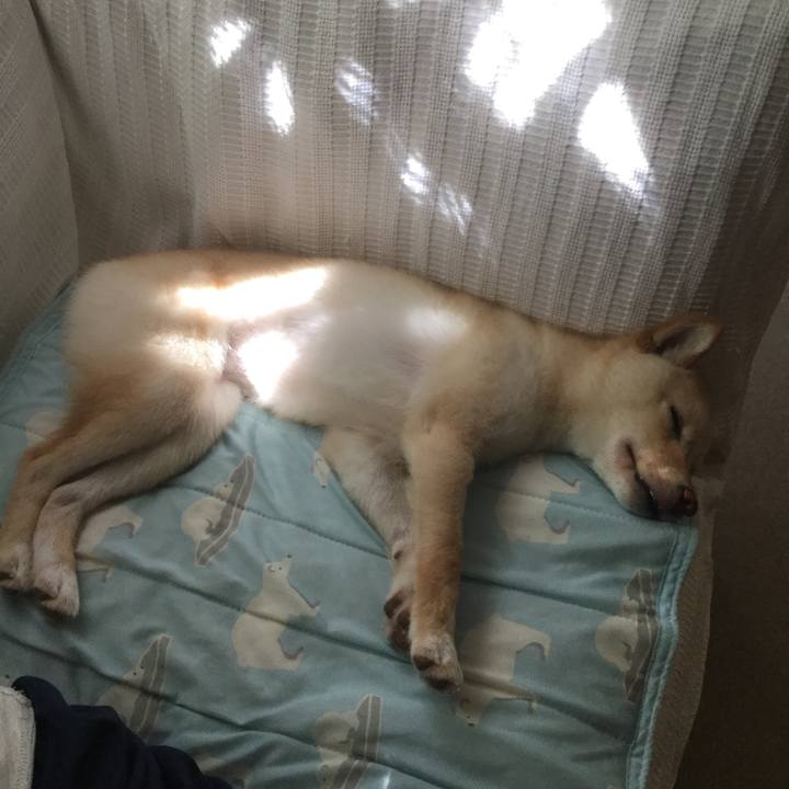 55389b2f 1976 46d8 9077 2407ee591ca5