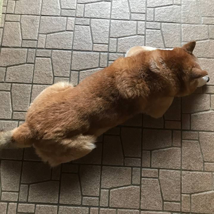 55395afb 5873 46cf b757 abec8c5dd5f6