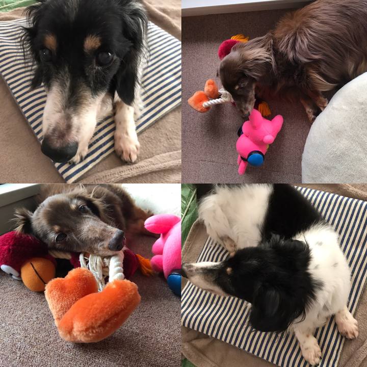 5539ae9b 81a4 451a 94eb 02ac71c21594