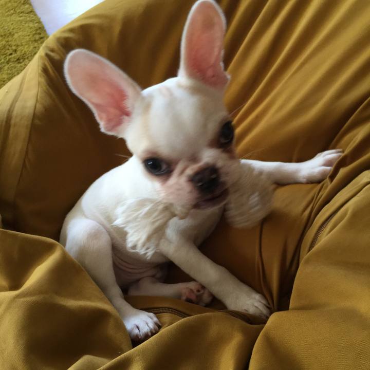 5539d380 9ef5 4b9d b126 e937fd8e5c96