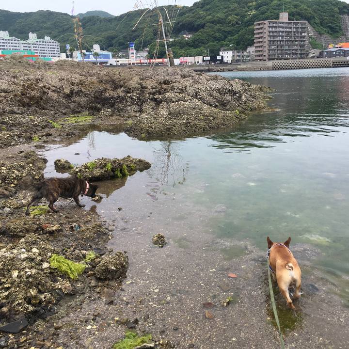 5539d61b 4f9e 4d46 8e9e f75b175afb85