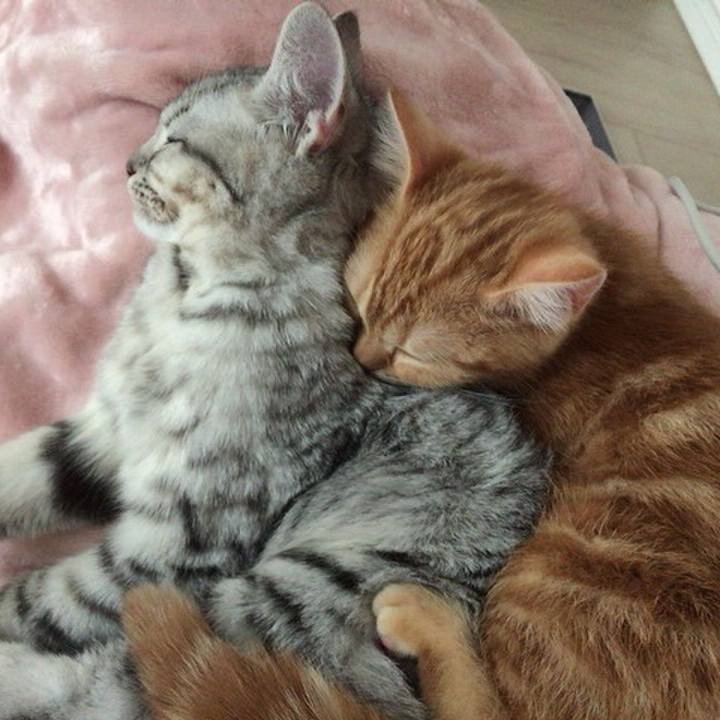 553ae402 c389 462e aef8 c34cb59a1228