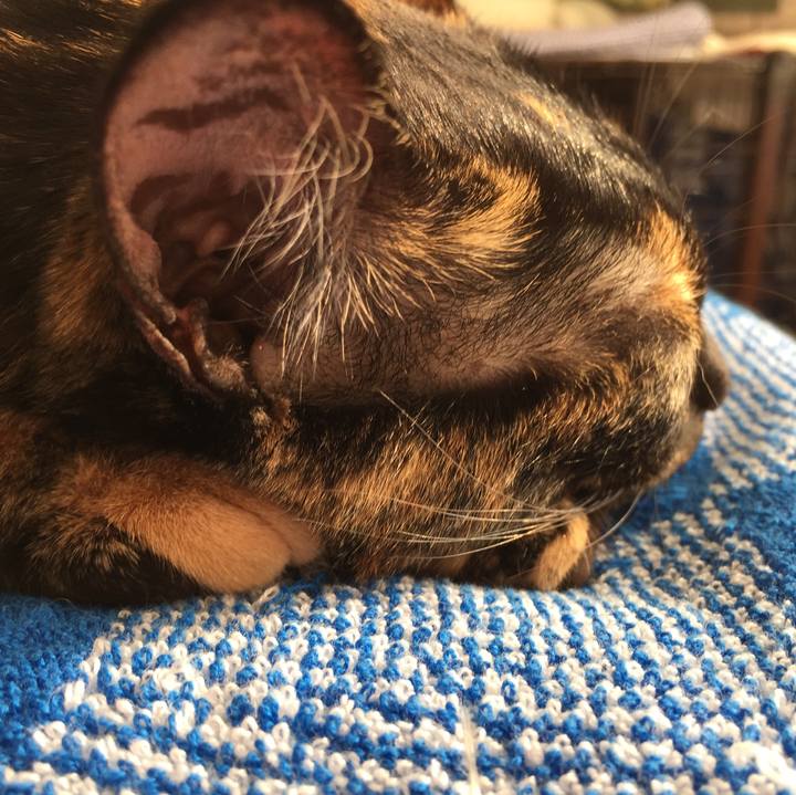 553b4384 1a8d 49d9 a690 b329f318c8b7