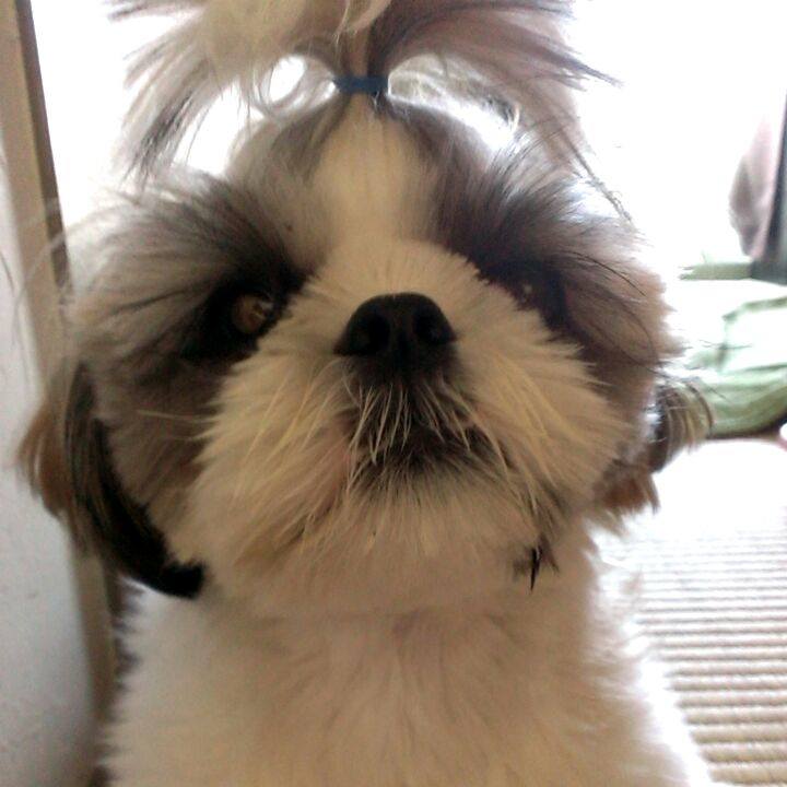 553be955 4e50 4df6 8c7d 0ec36e11d7c0