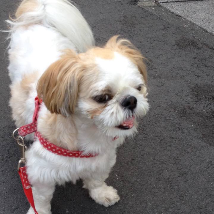 553c49bd c705 445f a8e4 ca91c2edbd7b