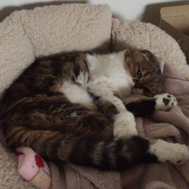 553cdd7f 386e 4b60 8775 845aa86cd7f9