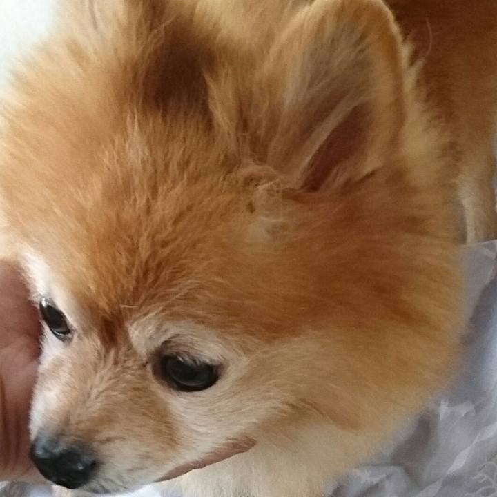 553d344e 188b 4e25 904f 78ceb3192dd1