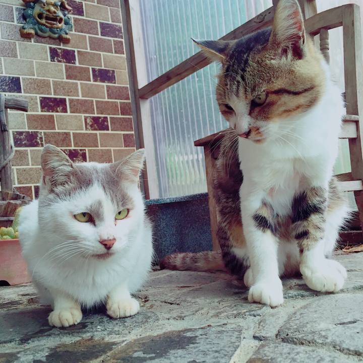 553d9815 f02e 4635 8241 71c7fc7b36da