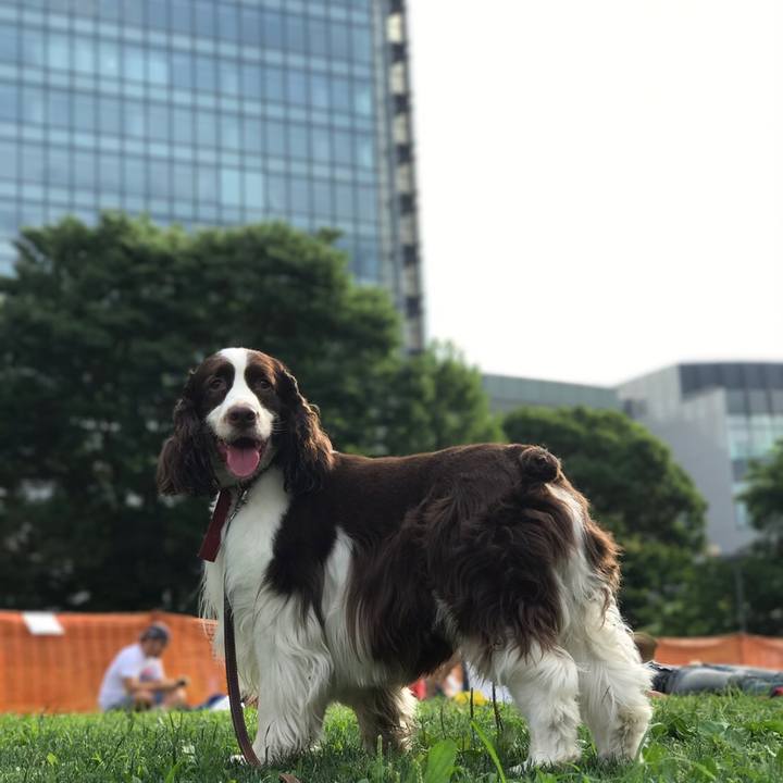 553dcc3d c965 4134 8428 0d2c732342d7