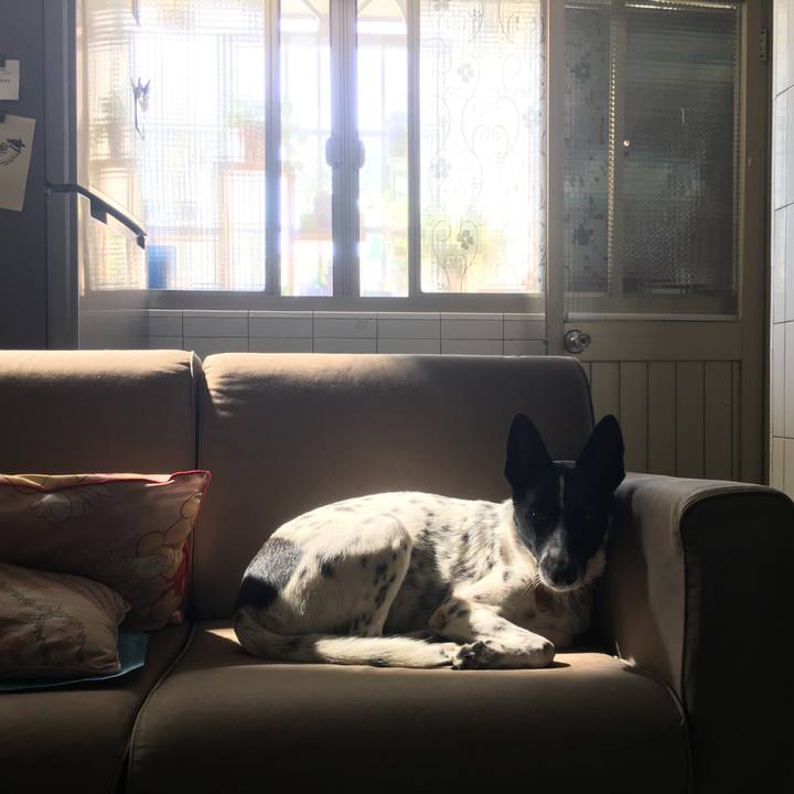 553ea78a 2165 4c0b 9cab 982dc4cc147b