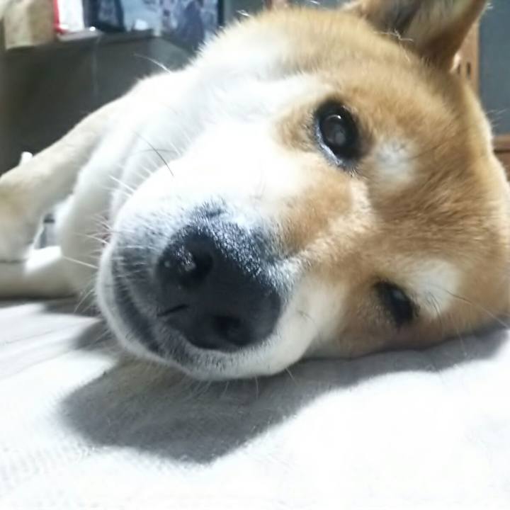 553ebd3c abf6 40be 9082 04334c9192dc