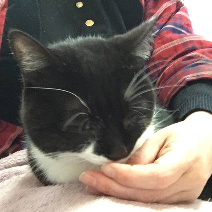 553ed019 272f 4e60 b9c3 54d4aaf36db2