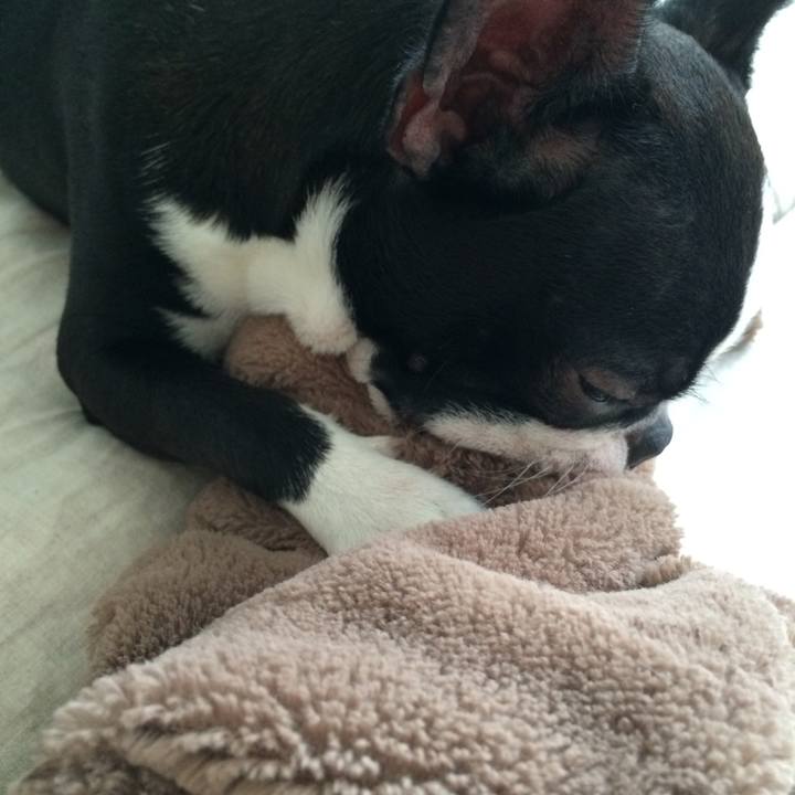 553eff0f 8e9b 4a0e a297 60e2ca20c351